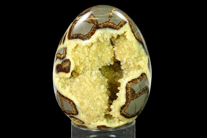 Calcite Crystal Filled Septarian Geode Egg - Utah #167881